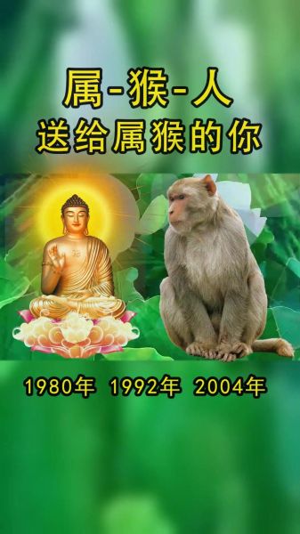 猴的生肖贵人属相是什么（猴的生肖贵人是什么属相）