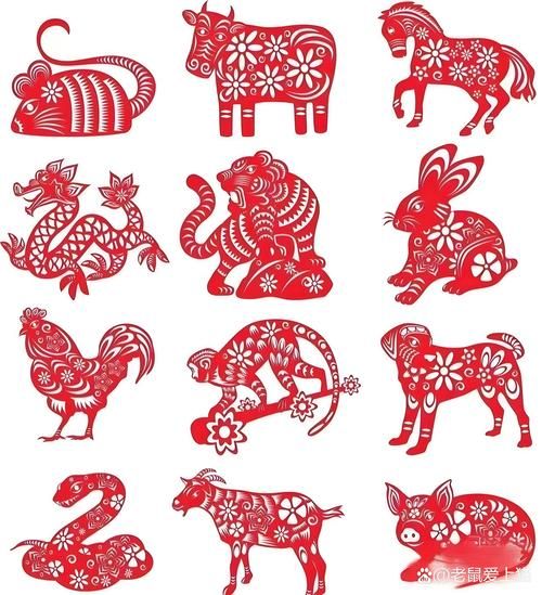 努尔哈赤属什么生肖属相（努尔哈赤属什么生肖？新手一看就懂）