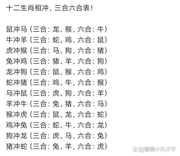 生肖龙跟什么属相冲（生肖龙跟什么属相相冲最全指南）