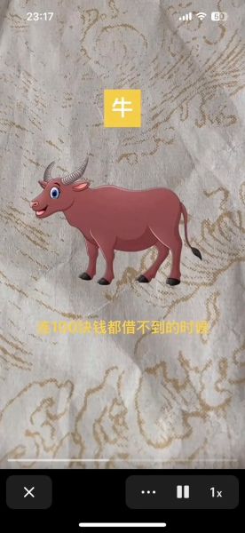 牛属相是什么生肖(牛属相是什么生肖?新手一次看懂)