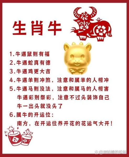 牛属相是什么生肖(牛属相是什么生肖?新手一次看懂)