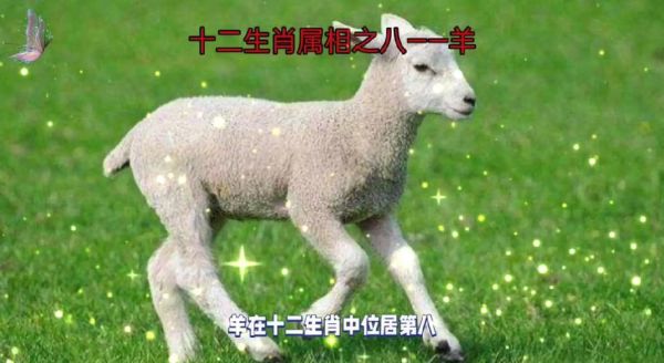 属相羊的生肖故事(属羊的生肖传说完整版)
