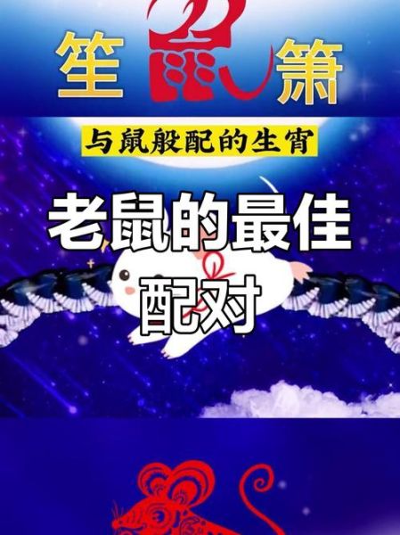 生肖老鼠和什么属相合（属鼠最合的三大生肖是哪些）
