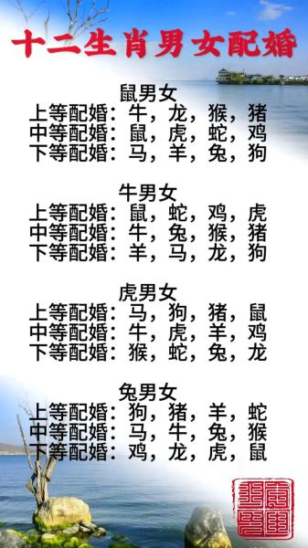 生肖属相合婚查询（生肖属相合婚查询最佳配对）