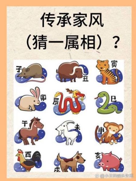 极字最佳生肖属相(极字打一生肖是什么动物?)