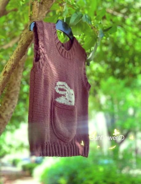 属相生肖背心兔(属相兔背心怎么挑才不踩雷?)