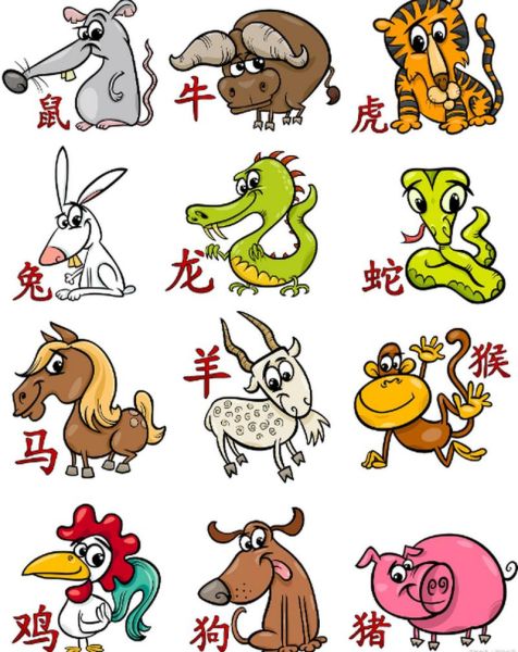 初五属于什么生肖属相（初五出生属什么生肖？）