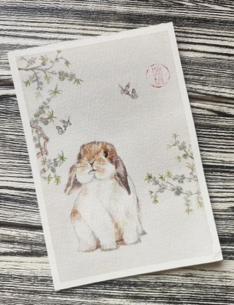 古风生肖公主属相兔(古风生肖公主属兔手绘教程)