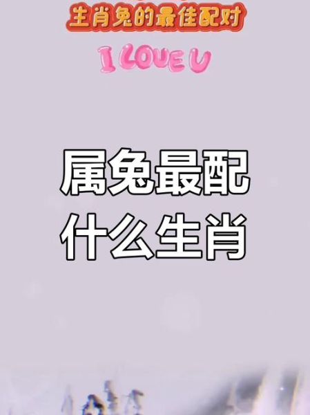 生肖兔婚配最佳配偶属相(生肖兔最佳配偶属相是谁)