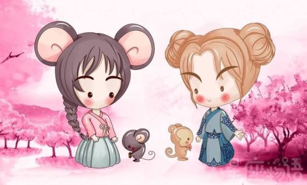 属相最爱什么生肖的人(生肖鼠最喜欢与哪个生肖相处)