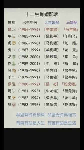 生肖兔子属相婚姻配对（生肖兔子婚姻最配属相指南）