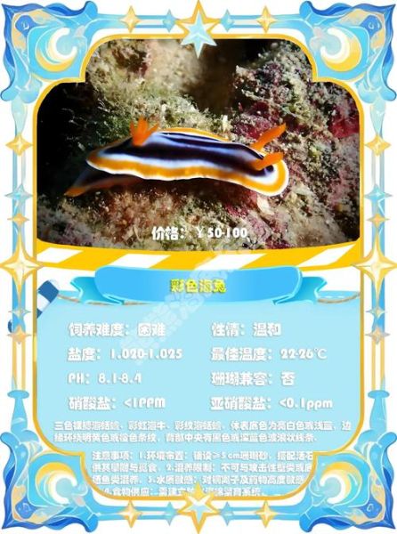 海兔王什么生肖属相(海兔王属什么生肖?真相来了)