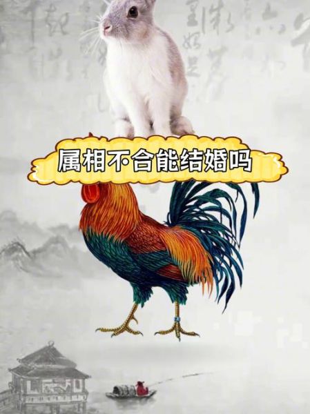生肖鸡的情人什么属相(生肖鸡最配的三大属相情人)