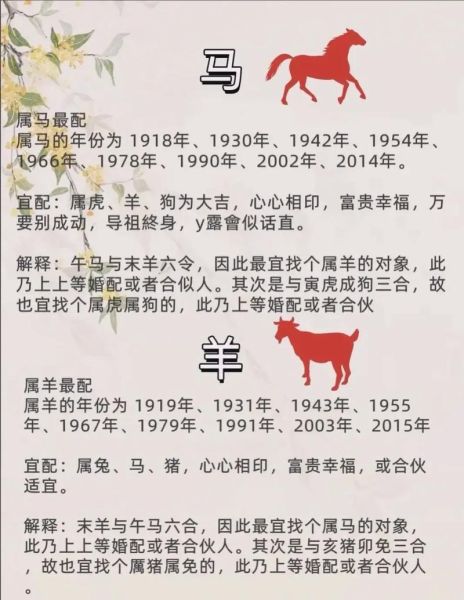 生肖属相路线（生肖属相路线该怎么走）