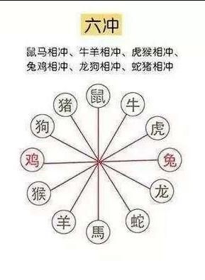 死宅生肖有哪些属相(12生肖里谁最容易变死宅?)