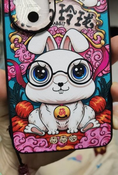 生肖属相保护壳（生肖属相保护壳怎么挑？新手避坑指南📱）