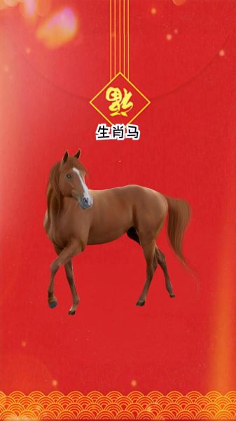 生肖属相车颜色