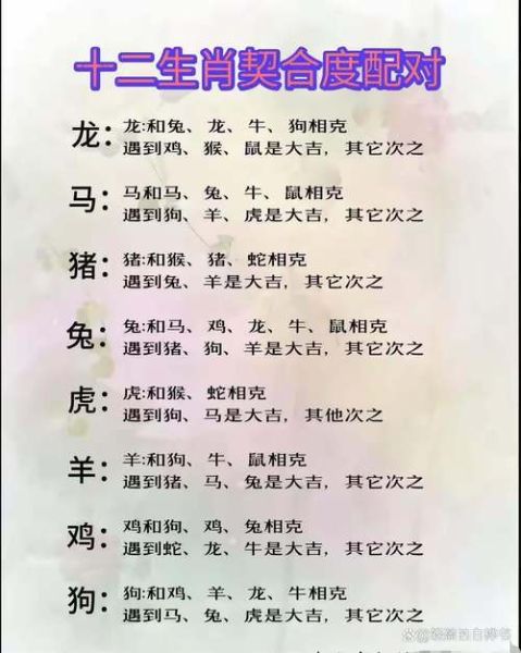 适合的生肖属相配对(生肖属相配对表查询指南)