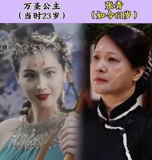 张青属何生肖属相(张青属相是什么?小白一文搞懂)