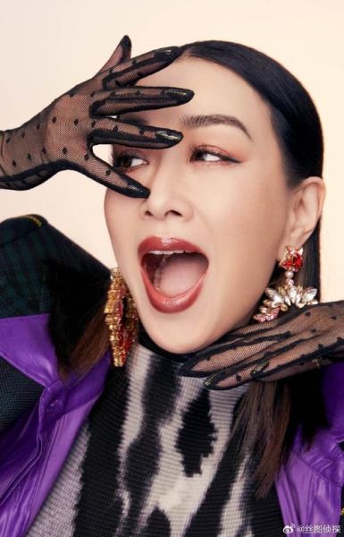 钟丽缇属什么生肖属相(钟丽缇属什么生肖)