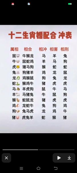 十二生肖属相顺序怎么排(十二生肖属相顺序是什么)