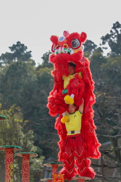 黄飞鸿名字解释生肖属相（黄飞鸿属什么生肖）