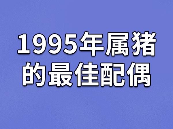 95年什么生肖属相（1995年属什么生肖最准确查询）