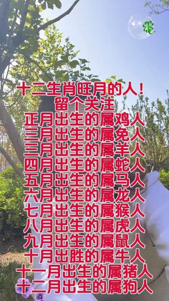 阿月月生肖属相（阿月月生肖属什么新手必看）