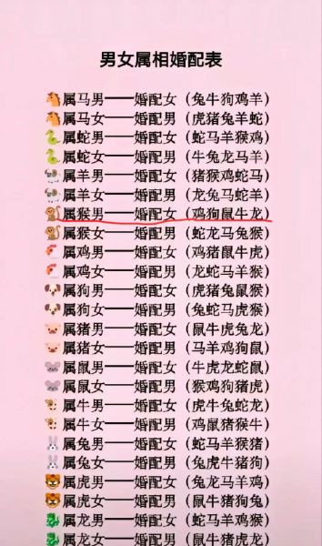 生肖马女的属相（生肖马女的属相到底属什么？）