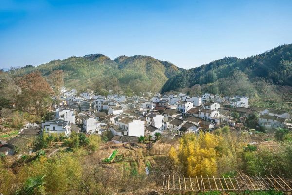 陶渊明的生肖属相是什么（陶渊明是什么生肖）