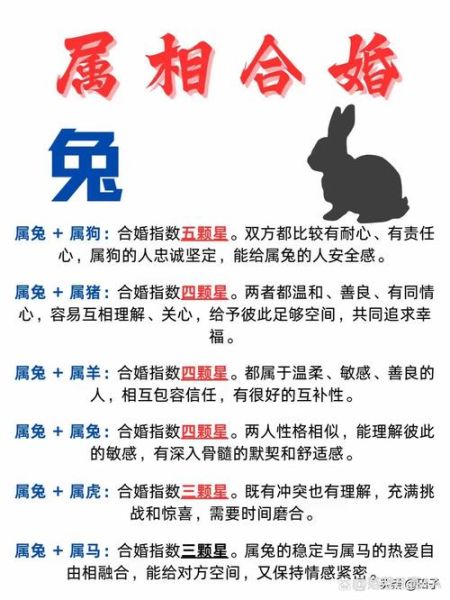 男友兔子生肖属相配对(兔男和什么属相最配)