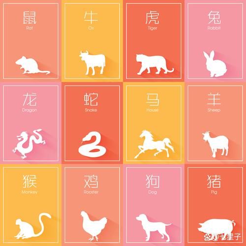 龙虎生肖不合的属相是