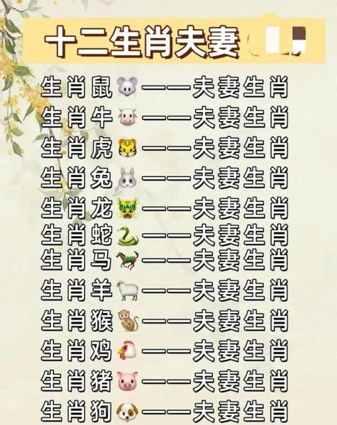 属相和生肖不合（属相不合真的影响婚姻吗）