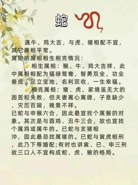 生肖属相配对自动生成（生肖属相配对自动生成靠谱吗？）