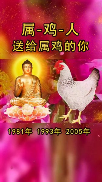 鸡属什么生肖属相（鸡属什么生肖？小白速懂版）