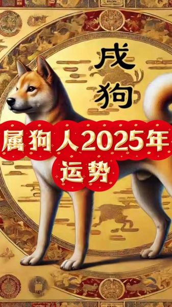 生肖属相大全属狗（生肖属相大全属狗2025运势）