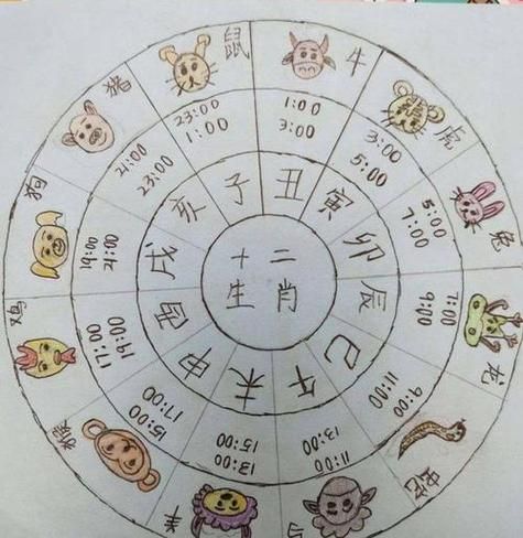 地支生肖属相大全（地支生肖属相查询表2024最新版）