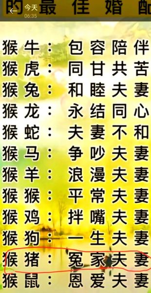 属相猴子和猪生肖运势（属猴子跟猪合不合？速看2024配对指南）