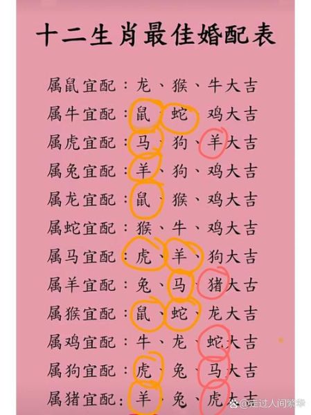 生肖情感属相生肖文化（生肖属羊和属鼠真的相克吗？）