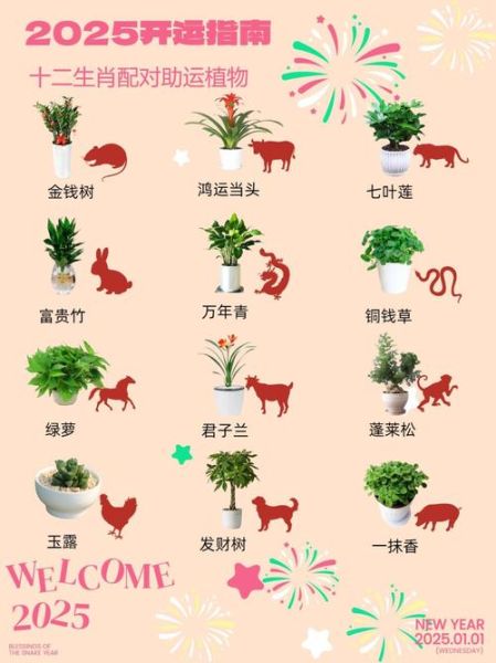 十二生肖的植物属相（十二生肖开运植物对照表）