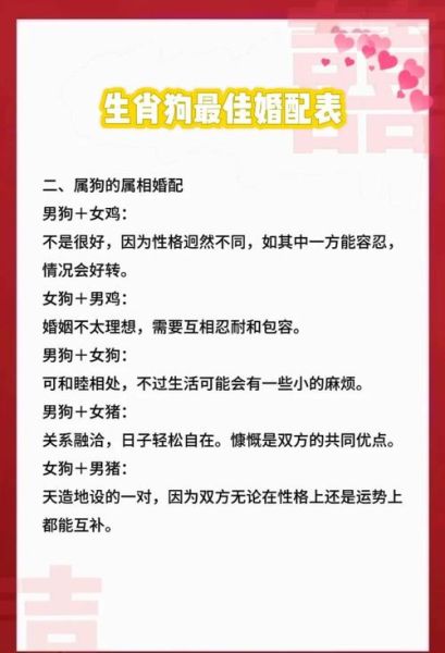 二婚生肖狗的婚配属相（二婚属狗最佳配对属相是谁？）