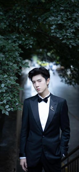 陈哲远生肖属相（陈哲远属什么生肖？）