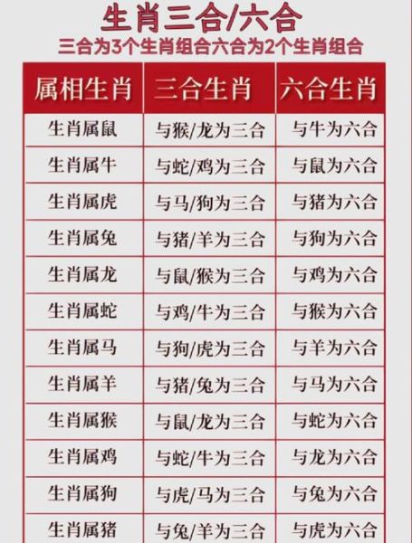 生肖龙属相（生肖龙属相运势解析）