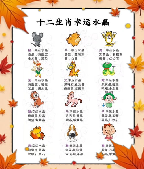 如何选择动物生肖属相（新手怎么选生肖佩戴最合适）