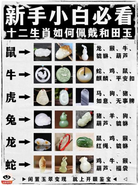 生肖属相用法图解大全视频（生肖属相计算方法图解大全）