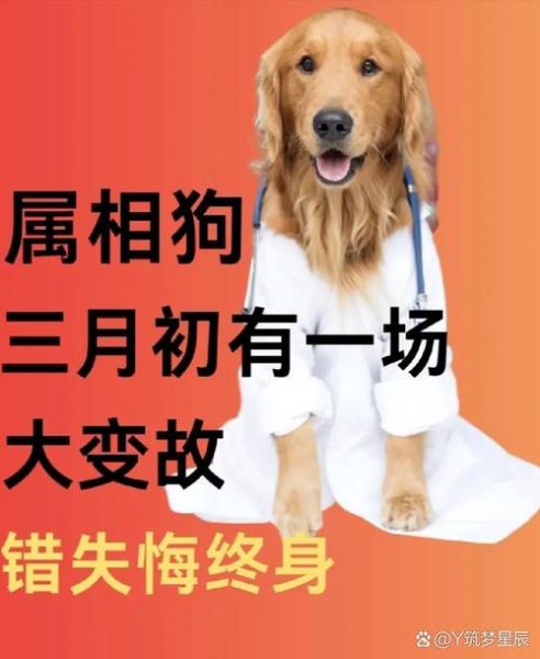 生肖狗患难与共的属相（生肖狗患难与共的属相是谁）