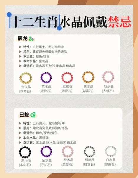 王子晶属什么生肖属相