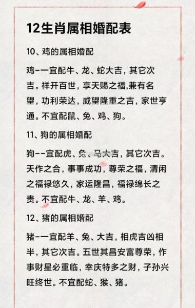最佳生肖属相配对（2024最佳生肖属相配对详解👩‍❤️‍👨）