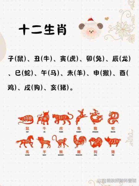生肖羊男孩的属相（生肖羊男孩的属相到底是哪一年？）