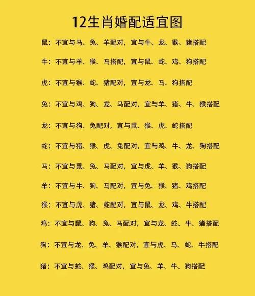 鼠的适配生肖属相（鼠的适配生肖属相最佳配对表）